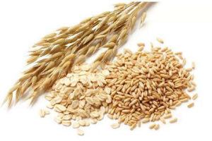 燕麦和燕麦片的区别,燕麦和燕麦片有什么不同