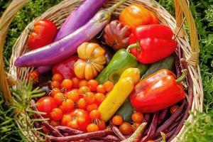 蔬菜种植最容易犯的十个错误!