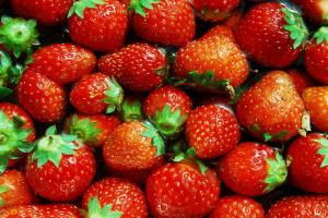 草莓的花语和寓意 ？