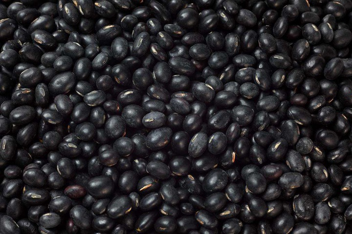 黑豆种子什么时候播种最好，种后多久收